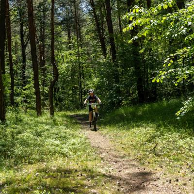A73030561