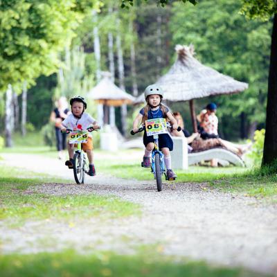 Sm 46