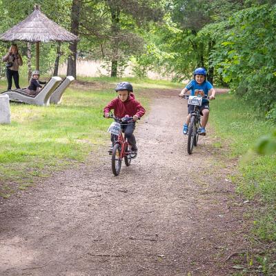 Js Dd2026 54